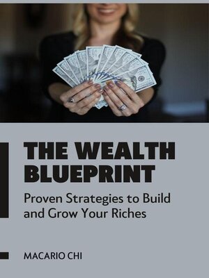 cover image of The Wealth Blueprint